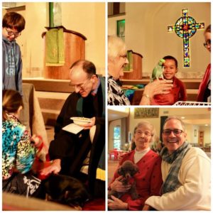 Faith Hero: St Francis