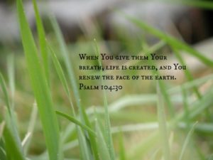 Taking Care of the Great Gift We have Received