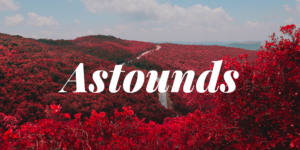 A Faith that Astounds!