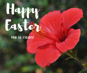 It Is So Much More Than an Idle Tale