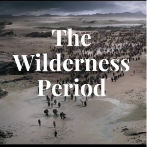The Wilderness Period