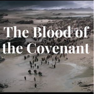 The Blood of the Covenant